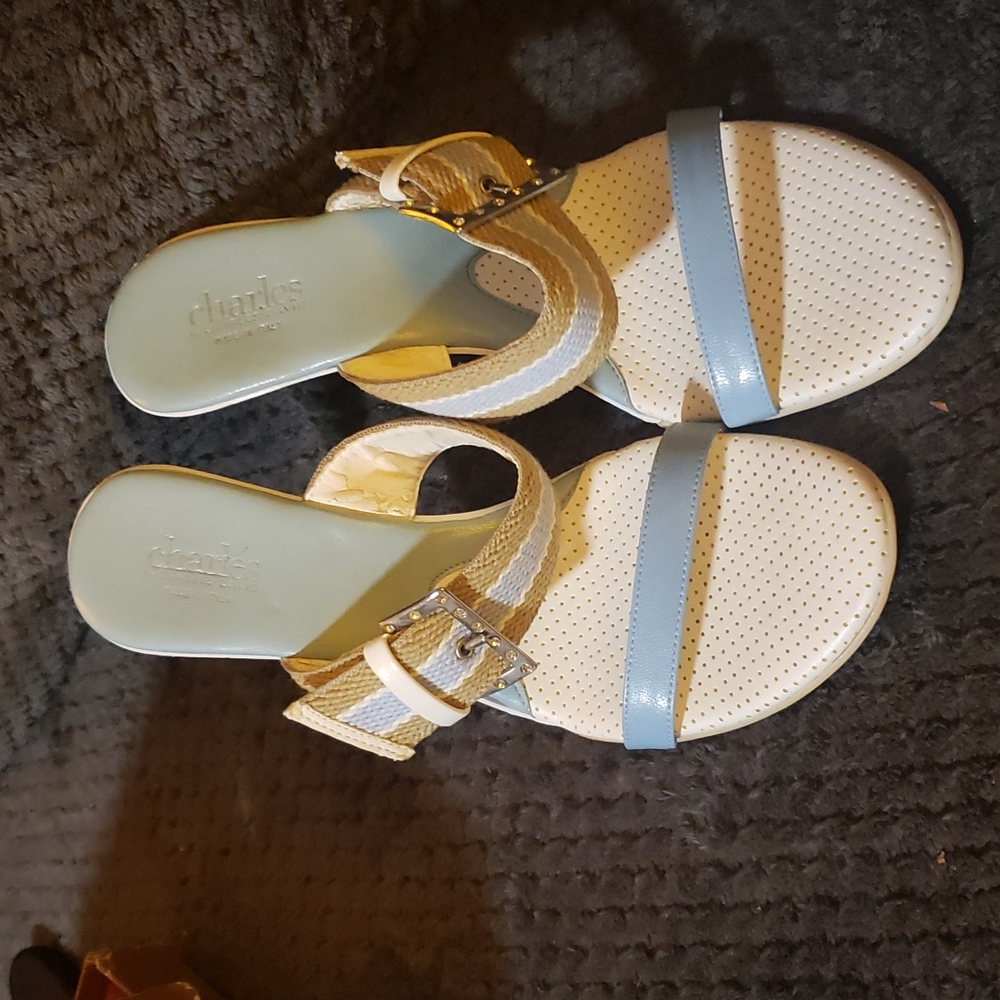 Charles by Charles David Size 8.5 Light Blue and White